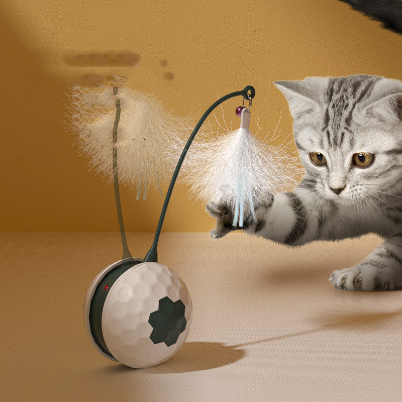 Enjoying Electric Intelligent Bite Resistant Cat Toys Pet Products - Pets Crazy Shops