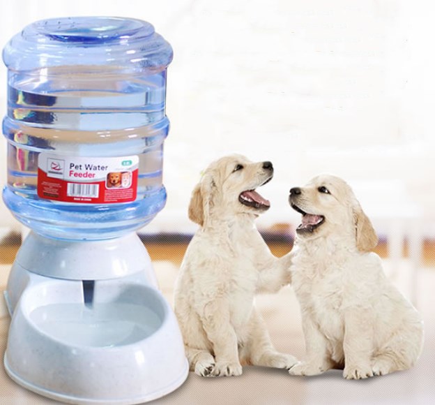Cats Dogs Automatic Pet Feeder Drinking Water Fountains Large Capacity Plastic Pets Dog Food Bowl Water Dispenser - Pets Crazy Shops