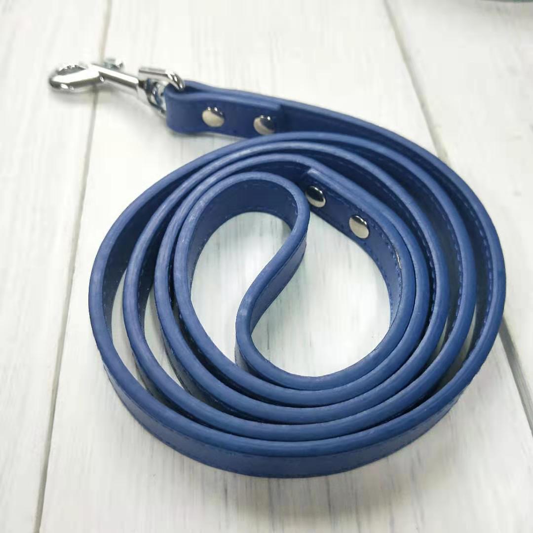Pet leash collar - Pets Crazy Shops
