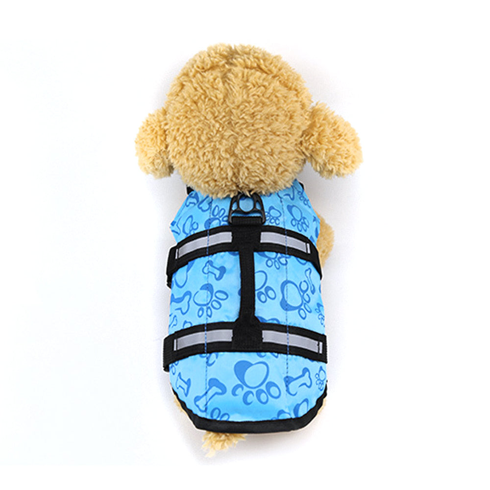 Large and small dogs - Pets Crazy Shops