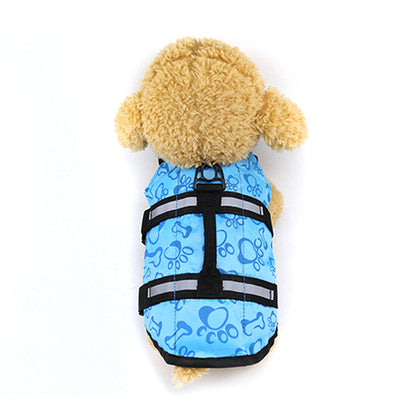 Large and small dogs - Pets Crazy Shops