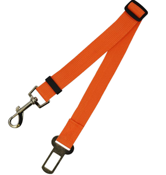Fixed Strap Polyester Dog Strap Dog Leash Dog Leash - Pets Crazy Shops