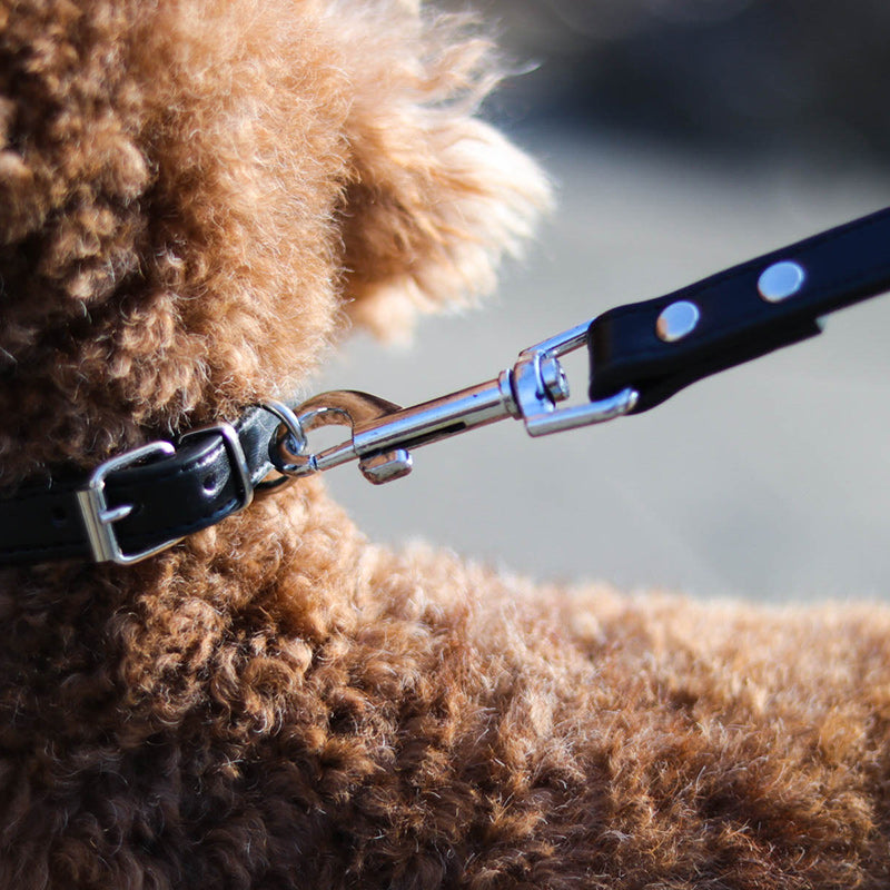 Pet leash collar - Pets Crazy Shops