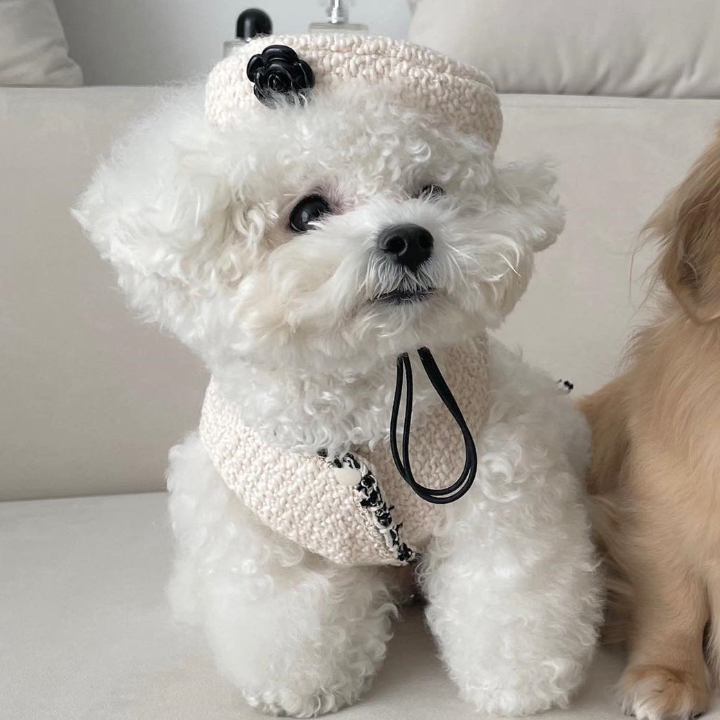 Pet Dog Cat Accessories Knitted Hat - Pets Crazy Shops