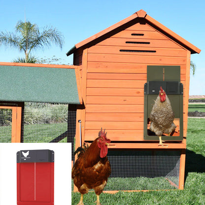 Coop Pet Door Automatic Chicken Coop - Pets Crazy Shops