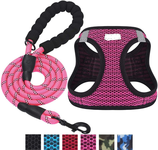 Reflective dog leash - Pets Crazy Shops