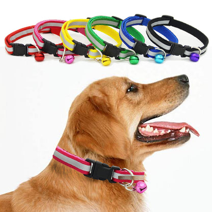 Fluorescent dog collar - Pets Crazy Shops