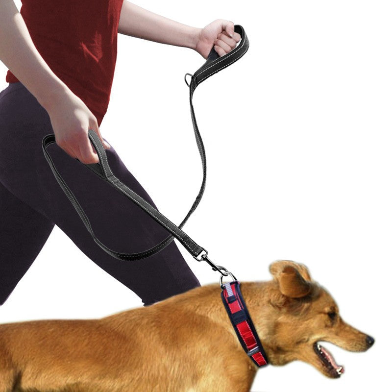 Pet Double Handle Pull Leash - Pets Crazy Shops