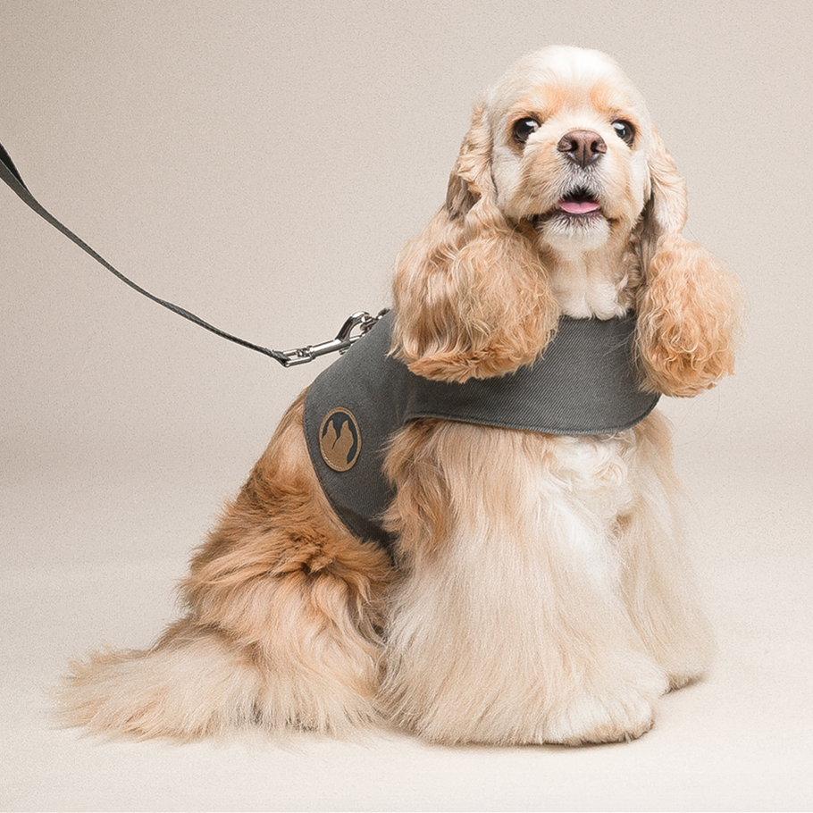 Dog Harness Small Dog Vest Type Leash - Pets Crazy Shops