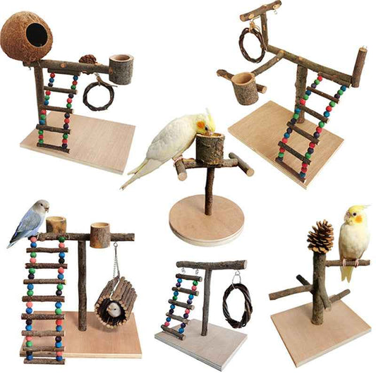 Solid Wood Parrot Station Frame Training Bird Shelf Parrot Toys  -  - Pets Crazy Shops -