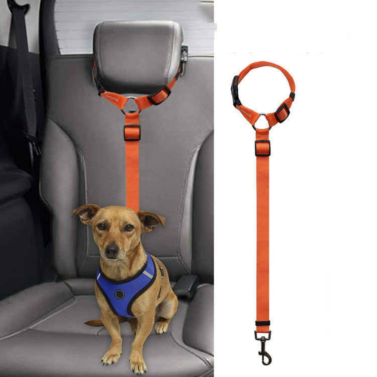 Car Backseat Pet Leash for stability - Pets Crazy Shops