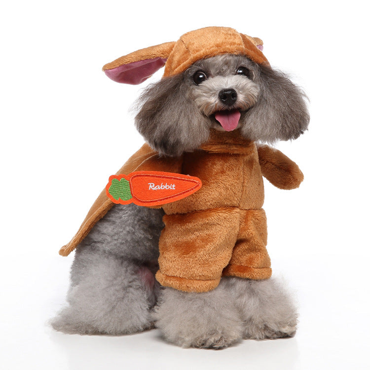 European And American Pet Products Clothing - Pets Crazy Shops