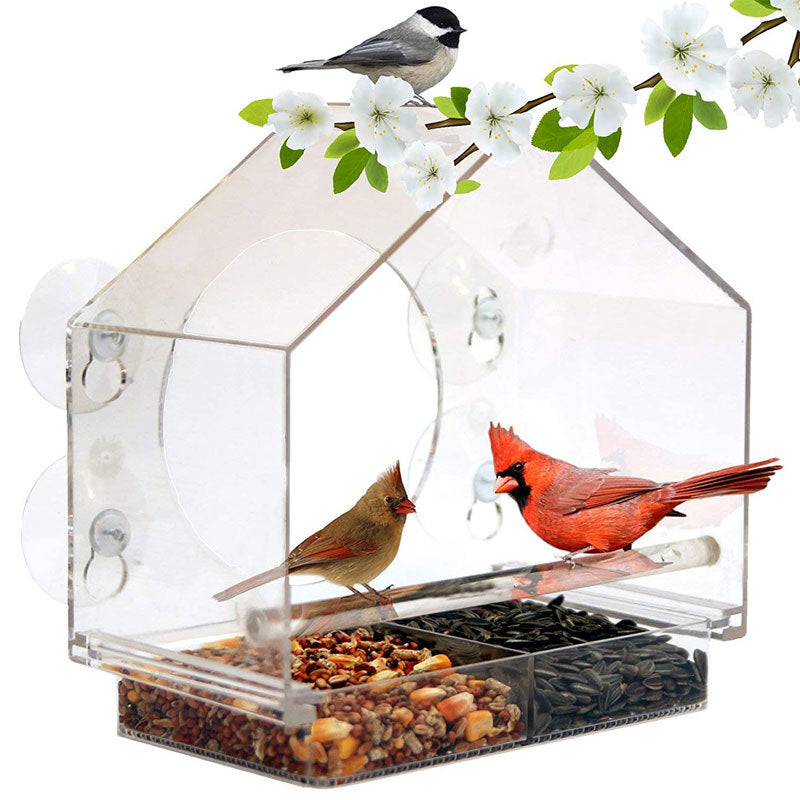 Bird Feeder Camera Live Bird Feeder Cam Bird Buddy Smart Bird Feeder With Camera - Pets Crazy Shops