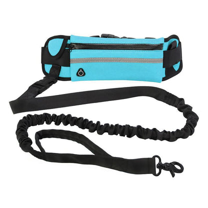 Pet Purse Leash For Dog Walking - Pets Crazy Shops