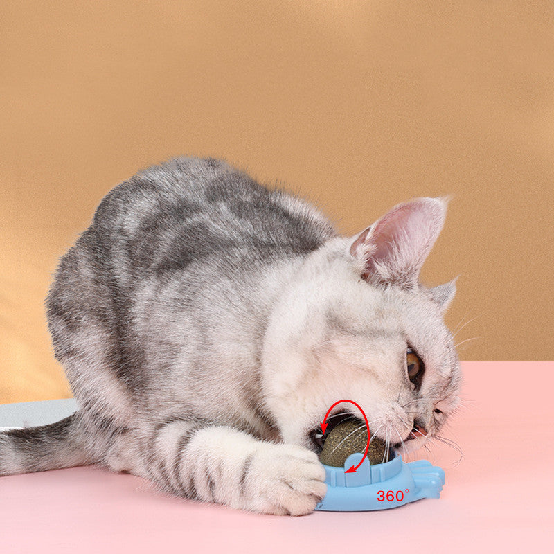 Pet Cat Mint Ball Toy Zihi Molar Pet Products - Pets Crazy Shops
