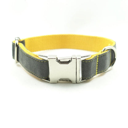 Original New Dog Collar Retractable Dog Leaning Dog Collar Original new dog collar retractable dog leaning dog collar - Pets Crazy Shops
