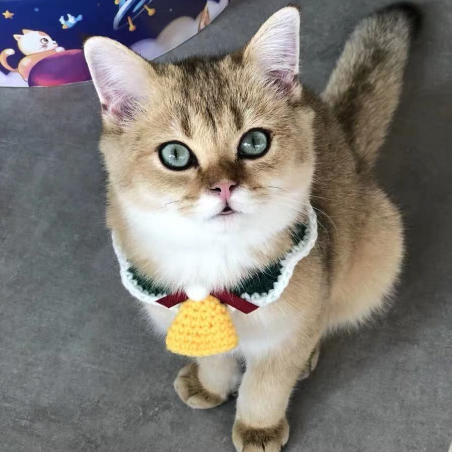 Wool Pet Collar Hand Woven Collar Christmas Pet Accessories - Pets Crazy Shops