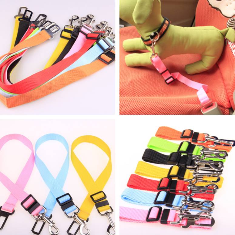 Fixed Strap Polyester Dog Strap Dog Leash Dog Leash - Pets Crazy Shops