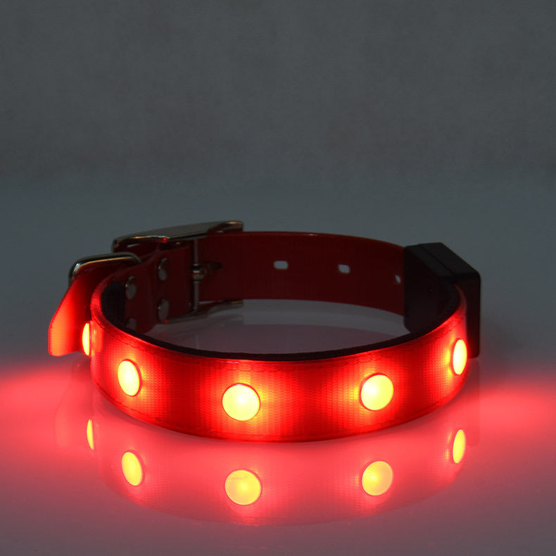 Luminous Waterproof Collar Adjustable Cat And Dog Collar - Pets Crazy Shops
