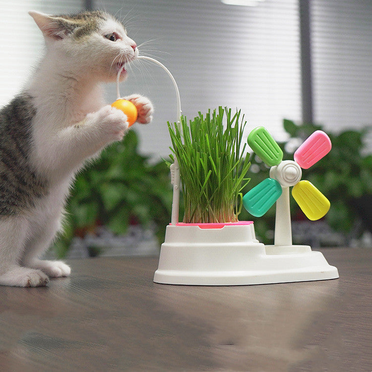 Windmill Funny Cat Stick Toy Desktop Grass Box Pet Toys - Pets Crazy Shops