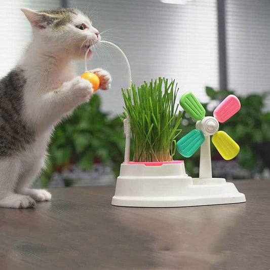 Windmill Funny Cat Stick Toy Desktop Grass Box Pet Toys  -  - Pets Crazy Shops -