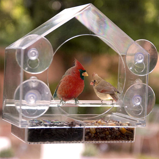 Bird Feeder Camera Live Bird Feeder Cam Bird Buddy Smart Bird Feeder With Camera - Pets Crazy Shops