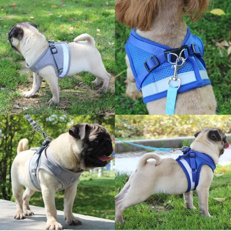 Reflective And Breathable Pet Harness - Pets Crazy Shops