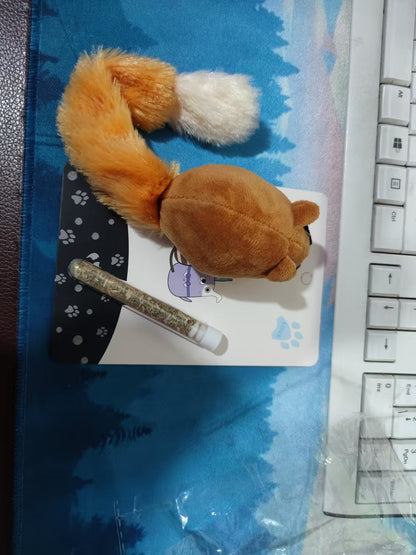 Cat supplies cat toys - Pets Crazy Shops