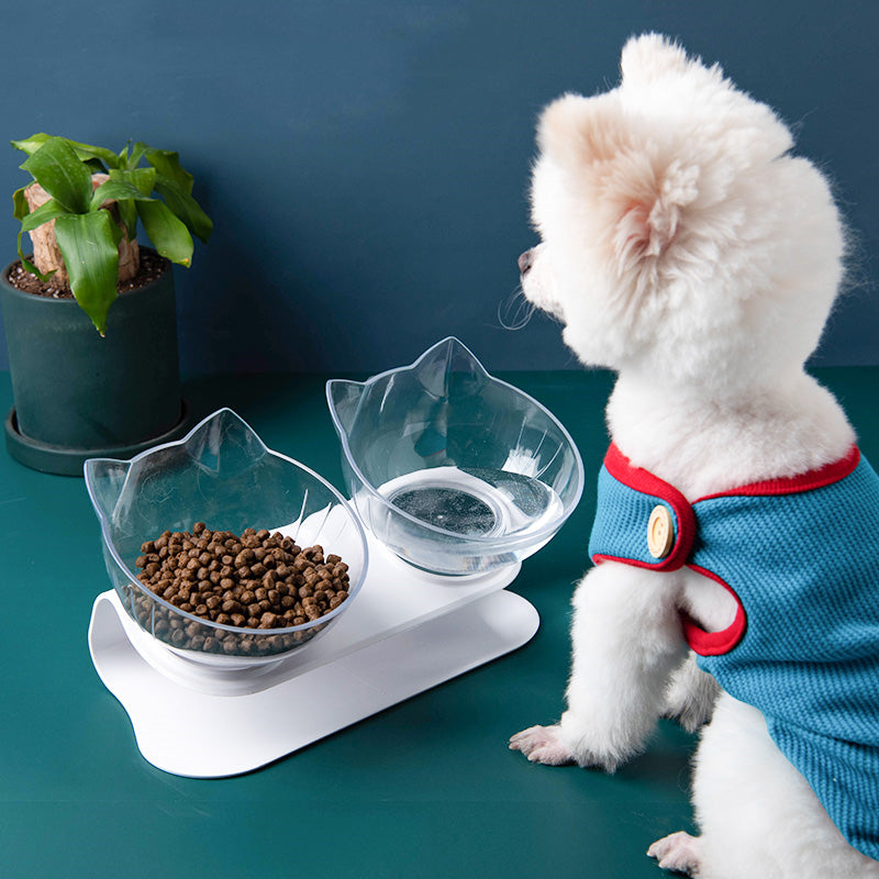 New Inclined Food Cat Ear Oblique Mouth Transparent Single Pet Bowl - Pets Crazy Shops