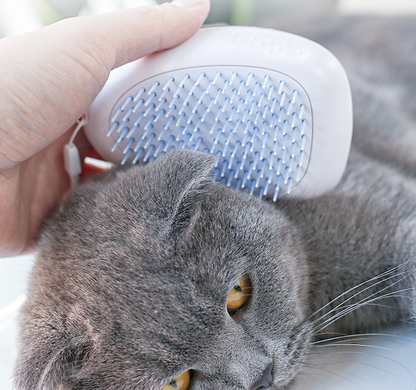 Brush Brush Cat Hair White Pet - Pets Crazy Shops