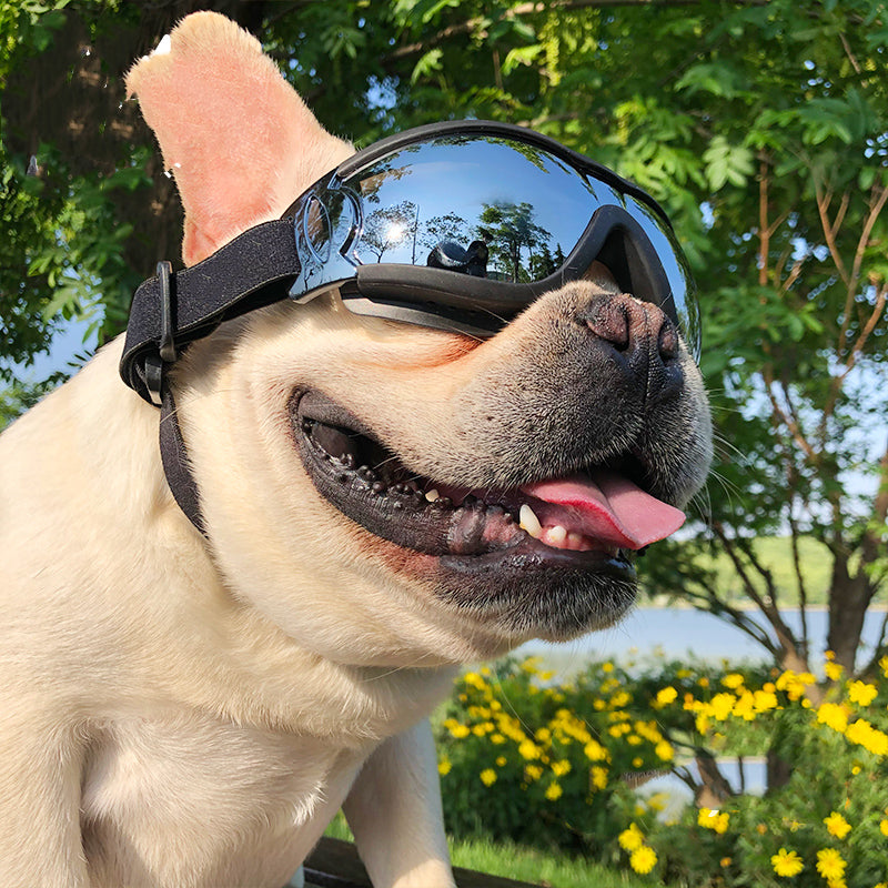 Pet Sunglasses Dog Windproof Glasses Accessories Goggles - Pets Crazy Shops