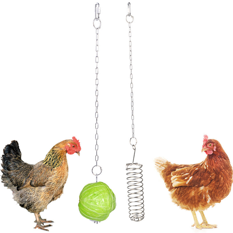 Stainless Steel Fruit Fork Parrot Forager - Pets Crazy Shops