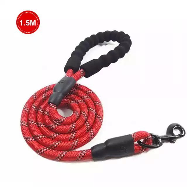 Small Medium Sized Pet Dog Luminous Leash Chain Puppies - Pets Crazy Shops