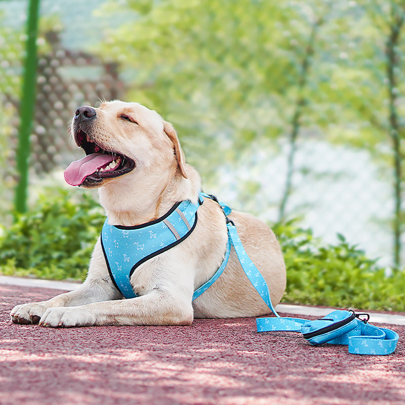 Pet Dog Leash Harness With Bow - Pets Crazy Shops