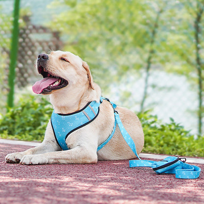 Pet Dog Leash Harness With Bow - Pets Crazy Shops