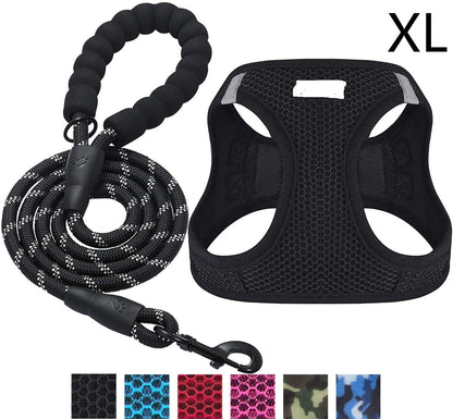 Reflective dog leash - Pets Crazy Shops