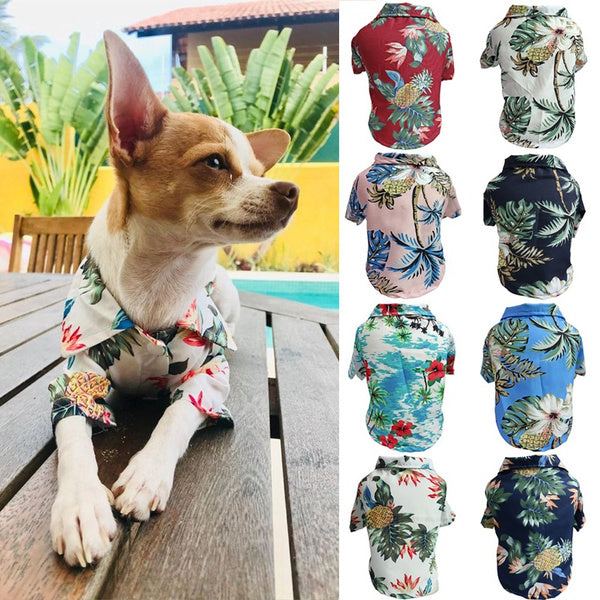 Dog Spring And Summer Thin Shirt Corgi Blue Cat Clothes - Pets Crazy Shops