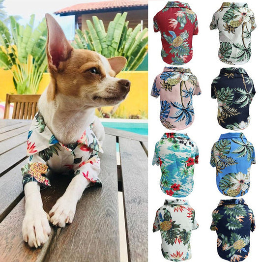 Dog Spring And Summer Thin Shirt Corgi Blue Cat Clothes  -  - Pets Crazy Shops -