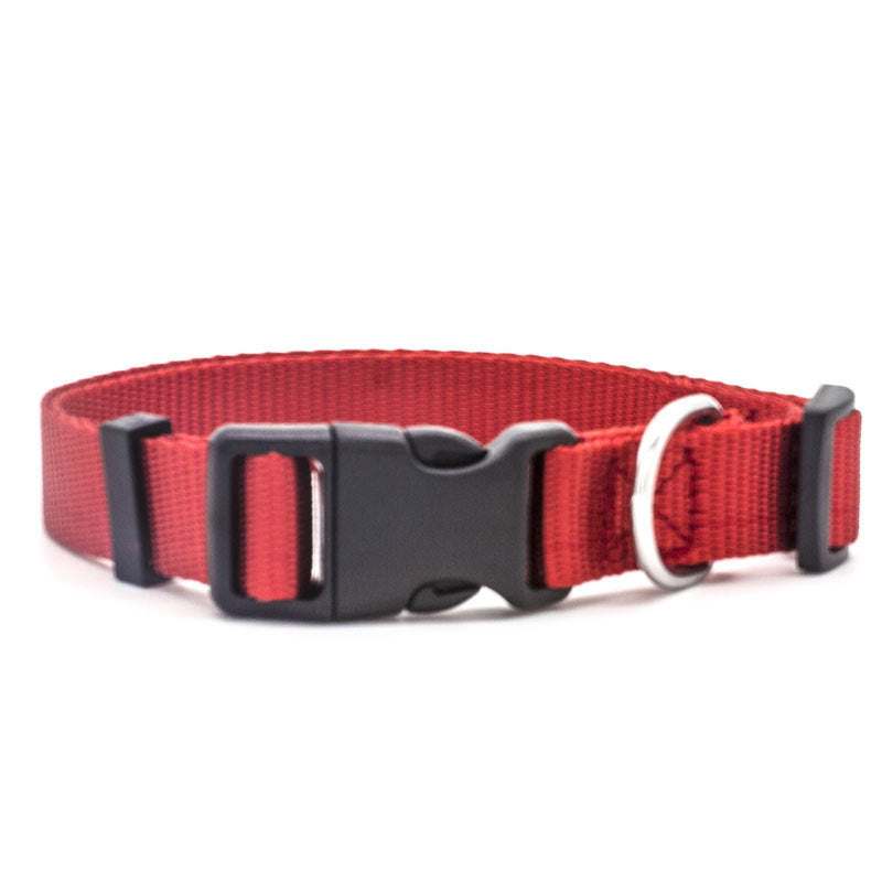 Super durable nylon collar, dog traction collar collar - Pets Crazy Shops