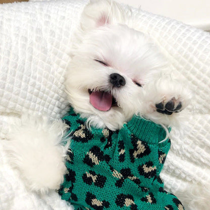 Knitted Dog Leopard-print Sweater Small Dog Pet Dog Cat Clothes - Pets Crazy Shops