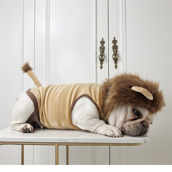 Dog Lion Clothes Pet Supplies Halloween Cat Clothes - Pets Crazy Shops