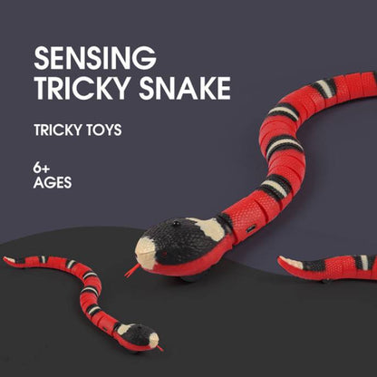 Interactive Electric Induction Snake Funny Cat Toy - Pets Crazy Shops
