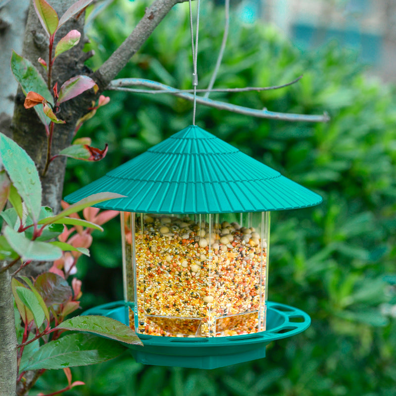 Outdoor Garden Hanging Transparent Bird Feeder - Pets Crazy Shops