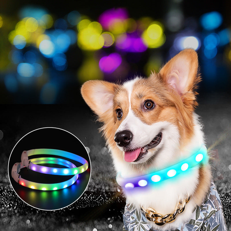 USB Rechargeable Pet Dog LED Glowing Collar Pet Luminous Flashing Necklace Outdoor Walking Dog Night Safety Collar - Pets Crazy Shops