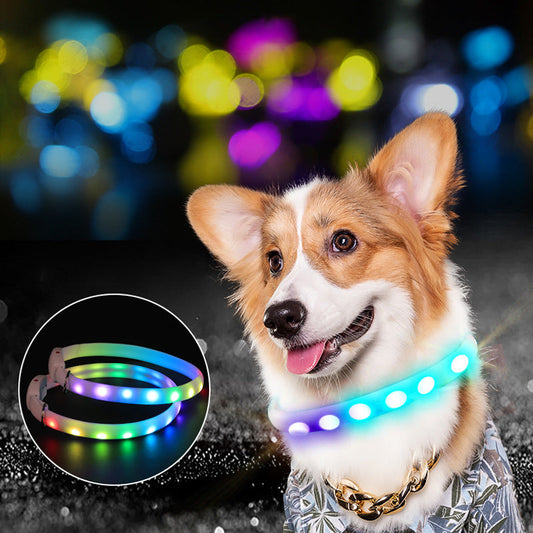 USB Rechargeable Pet Dog LED Glowing Collar Pet Luminous Flashing Necklace Outdoor Walking Dog Night Safety Collar - Pets Crazy Shops
