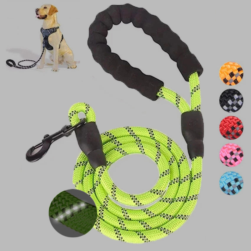 Small Medium Sized Pet Dog Luminous Leash Chain Puppies - Pets Crazy Shops