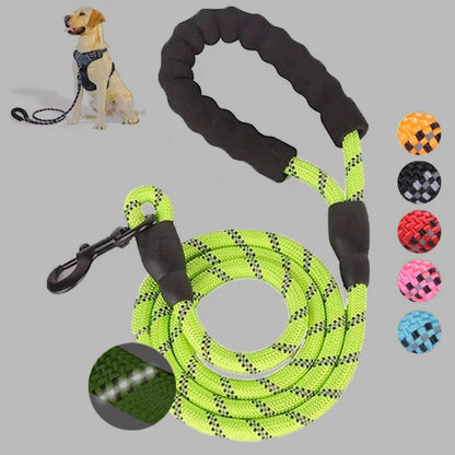 Small Medium Sized Pet Dog Luminous Leash Chain Puppies - Pets Crazy Shops