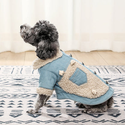 Small Medium Dog Teddy Dog Clothes - Pets Crazy Shops