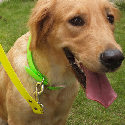 Collars Dirty-resistant Collars Dog Pens Pets - Pets Crazy Shops