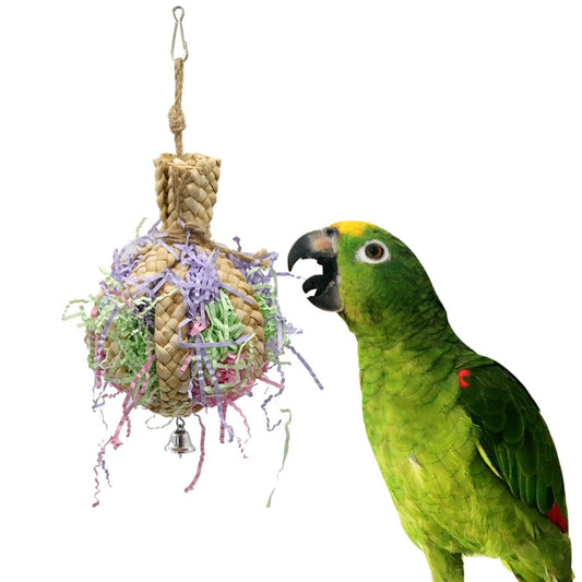 Drawing Straw Rope Toy Parrot Paper - Pets Crazy Shops